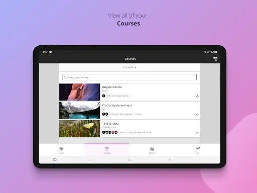 Screenshot 14