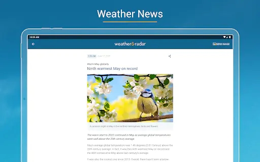 Screenshot 22
