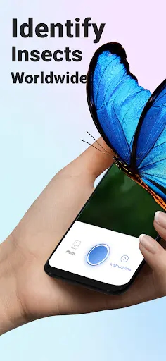 Screenshot 0