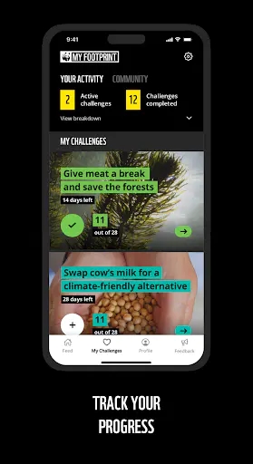 Screenshot 18