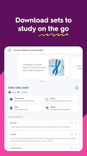 Screenshot 18