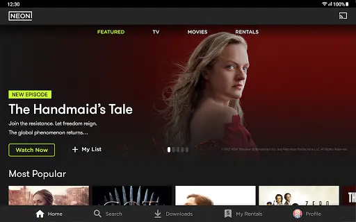 Screenshot 10