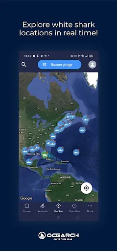 Screenshot 0