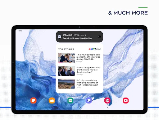 Screenshot 12