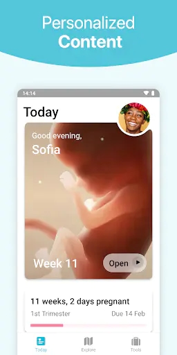 Screenshot 0