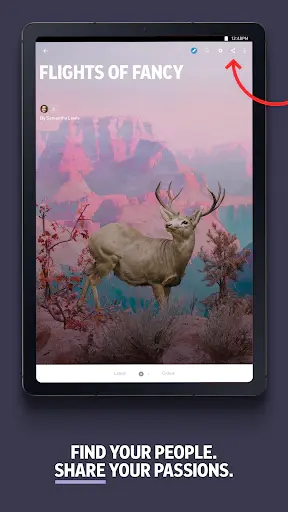 Screenshot 14