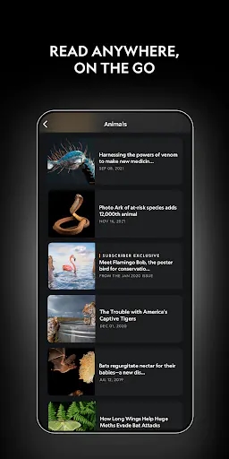 Screenshot 0