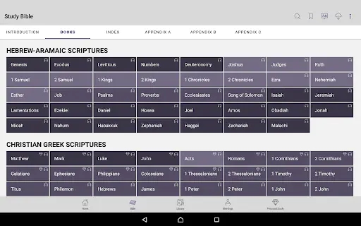 Screenshot 13