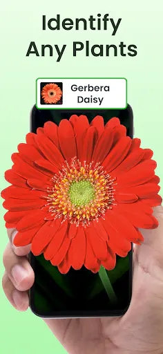Screenshot 0