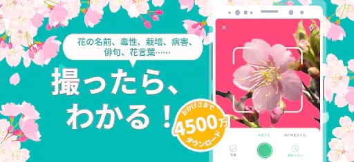 Screenshot 0