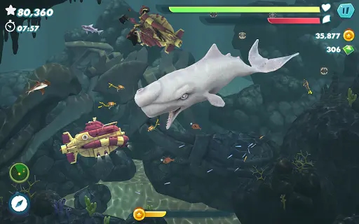 Screenshot 19