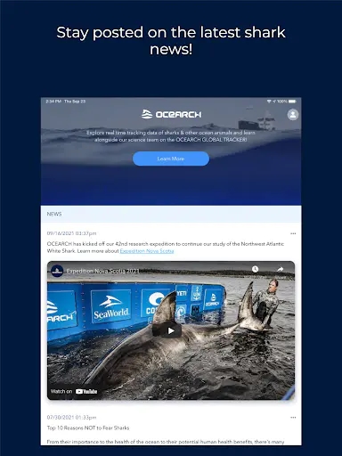 Screenshot 17