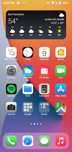 Screenshot 0