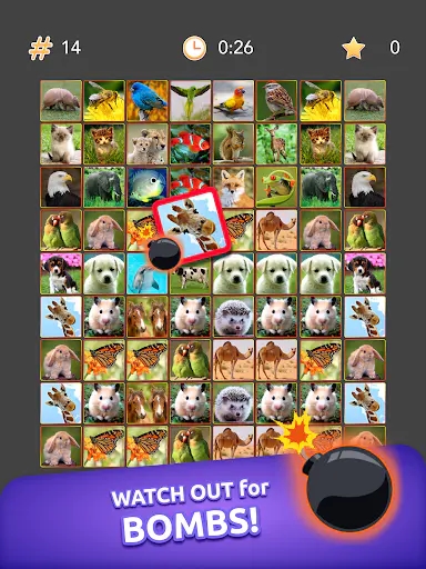 Screenshot 19