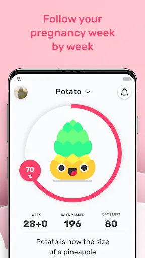 Screenshot 0