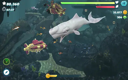 Screenshot 11