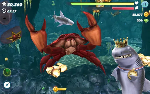 Screenshot 15