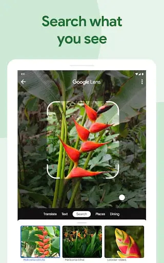 Screenshot 16