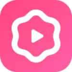 Cake: Lesson updates every day