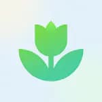Plant App - Plant Identifier