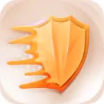 P VPN