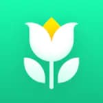 Plant Parent: Plant Care Guide