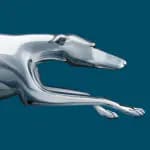 Greyhound: Cheap Bus Tickets