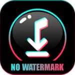 Snap Tik - TT Video Downloader