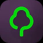 Gumtree